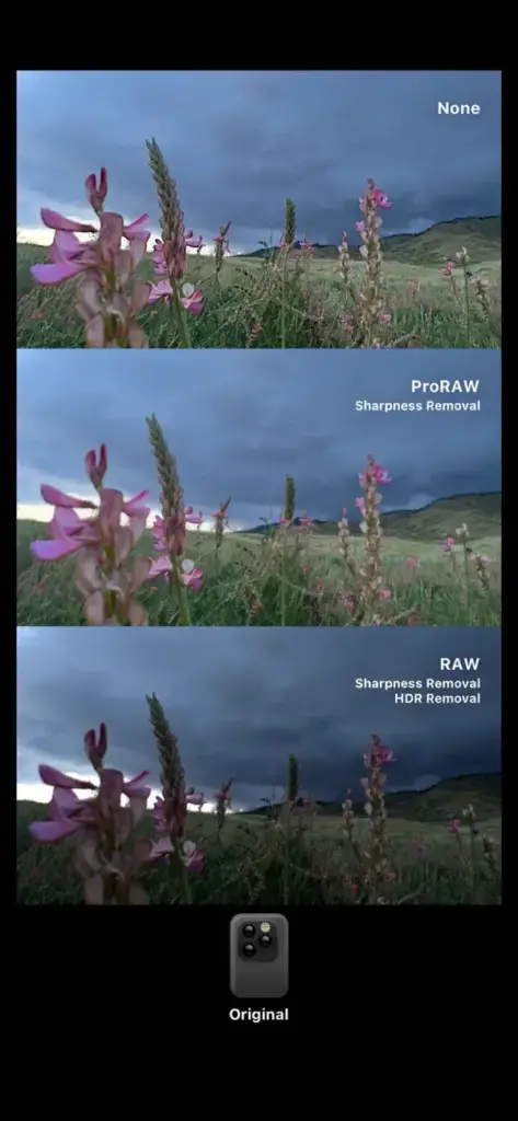 图片[4]-Dazz相机 v2.8.5 解锁会员-爱玩博客