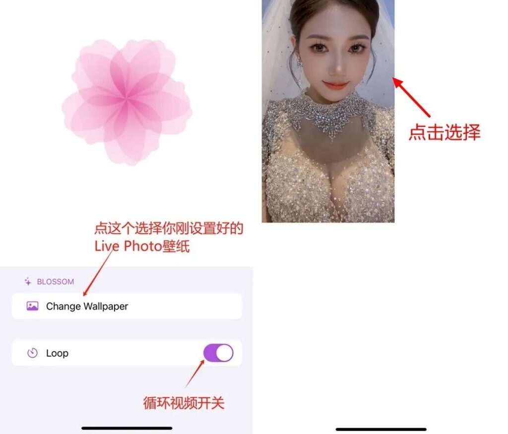 图片[6]-巨魔又一个新神器，iOS设置动态视频桌面壁纸-爱玩博客