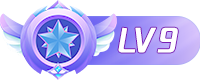 等级-LV9-爱玩博客