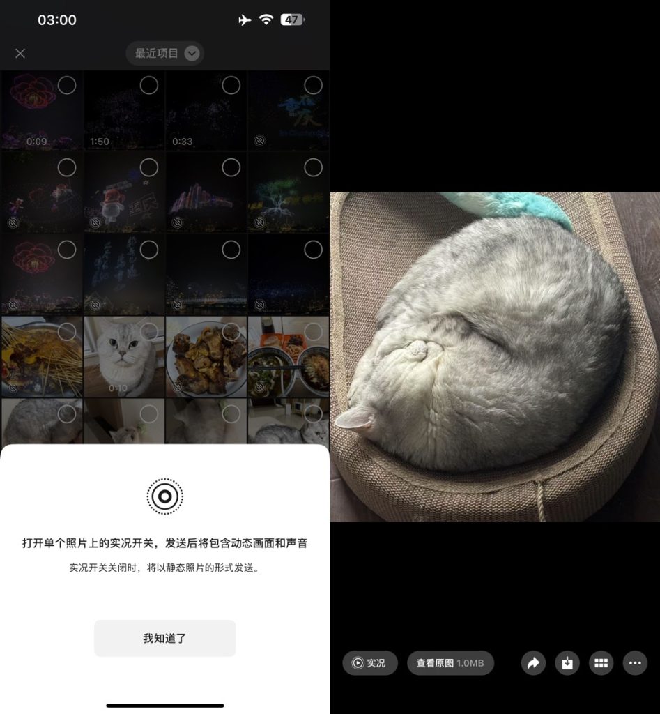 强开私聊发送Live图片 Rootless