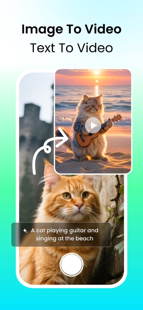 DreamFace v6.6.0