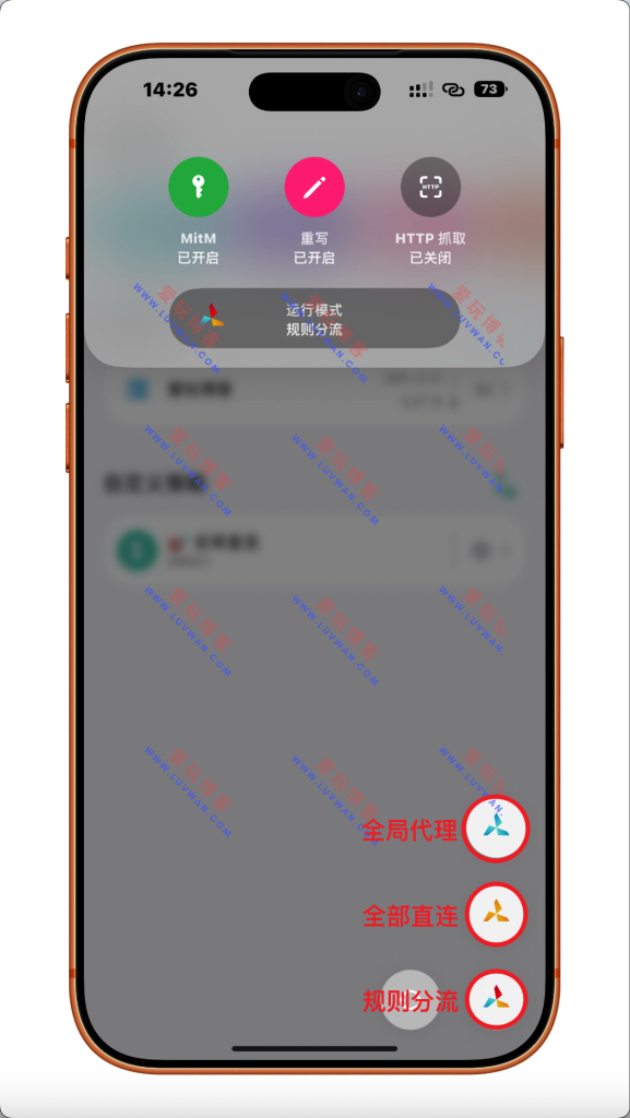 QuantumultX 代理模式选择