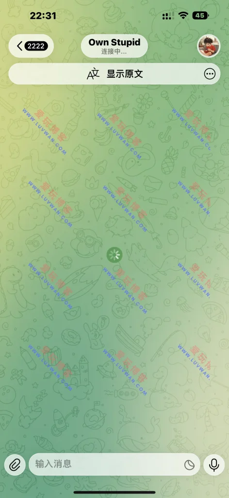 Turrit v1.4.5 证书用户