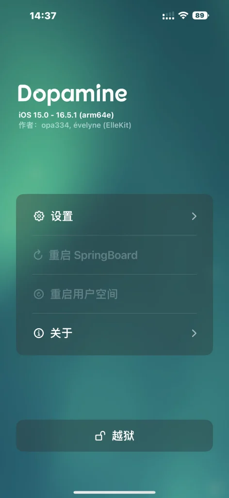 图片[2]-Dopamine-RootHide v2.4.9.23-爱玩博客