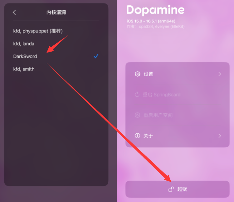须先进入 Dopamine 3.0 的设置界面手动切换对应的内核漏洞
