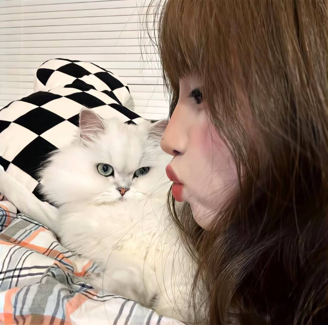 我只想知道的头像-爱玩博客