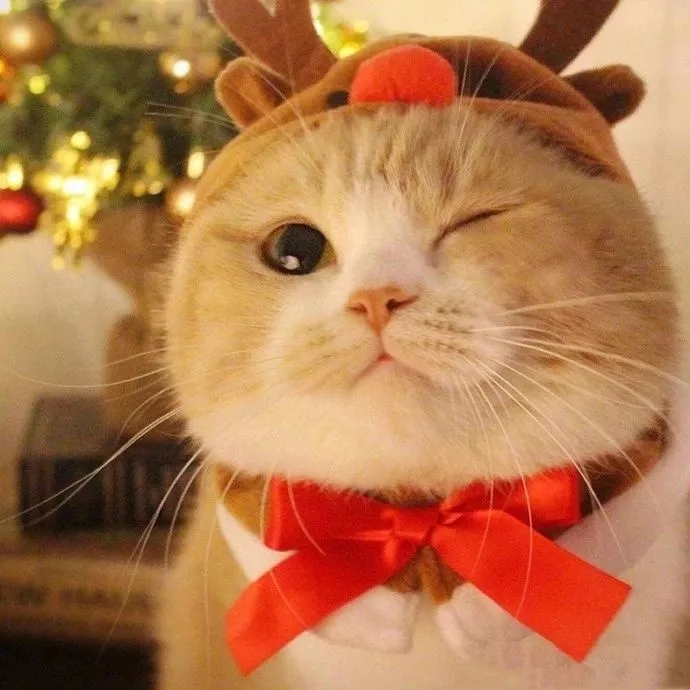 hasan327的头像-爱玩博客