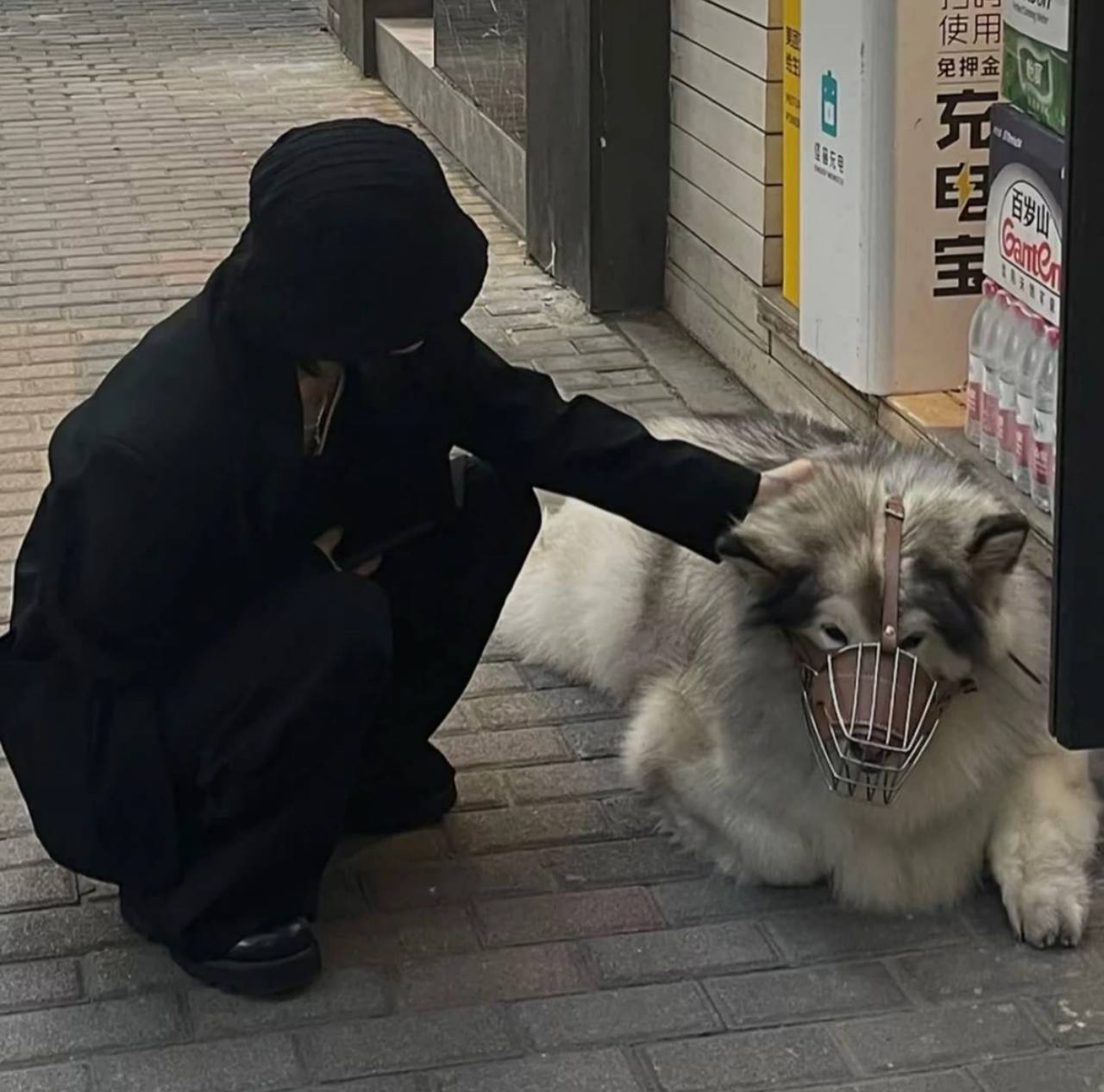 wangzhen的头像-爱玩博客