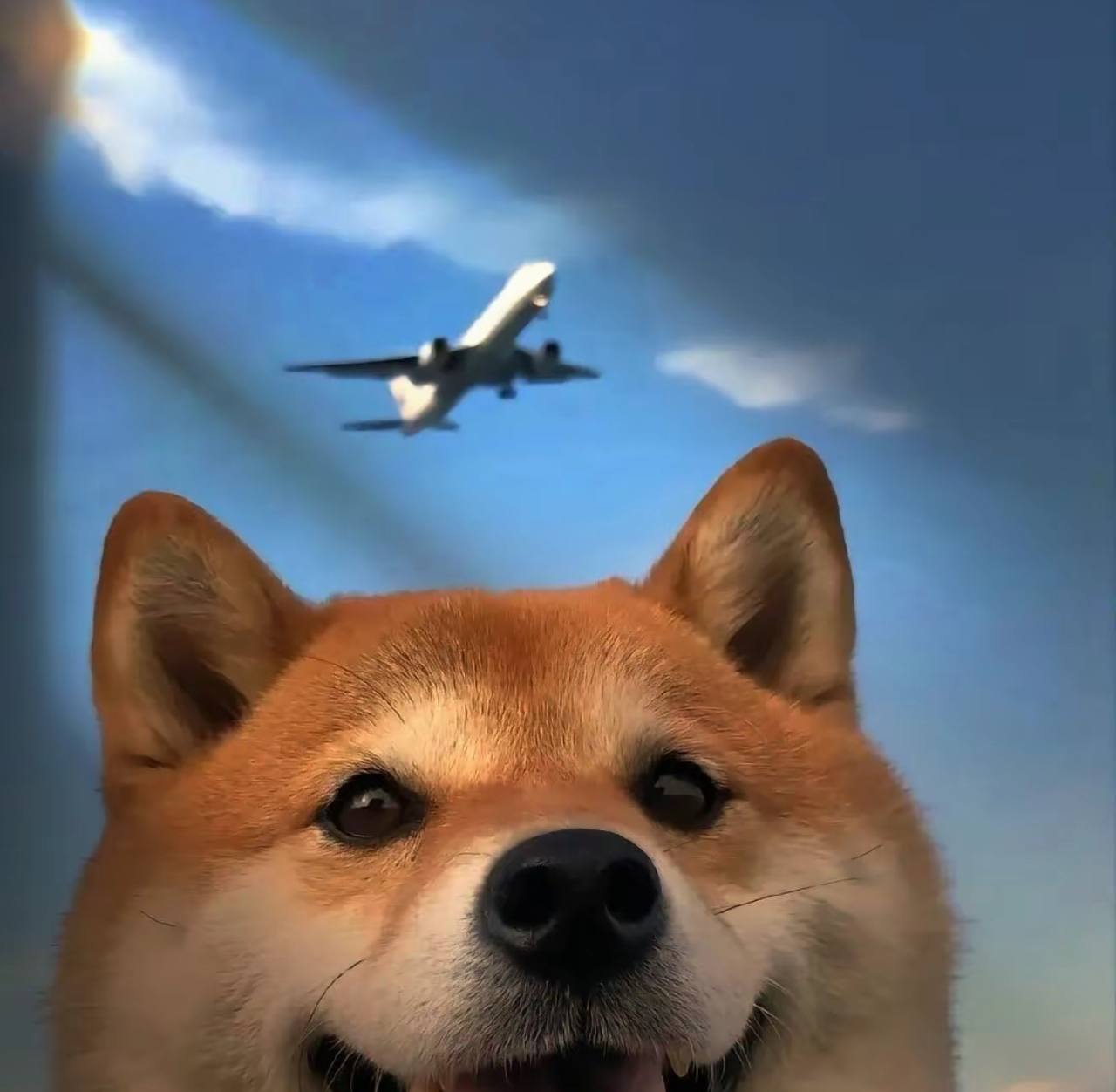 XWOLF2022的头像-爱玩博客