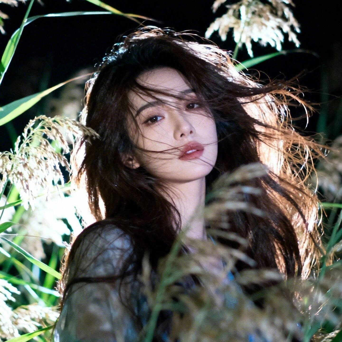 xx368048790的头像-爱玩博客