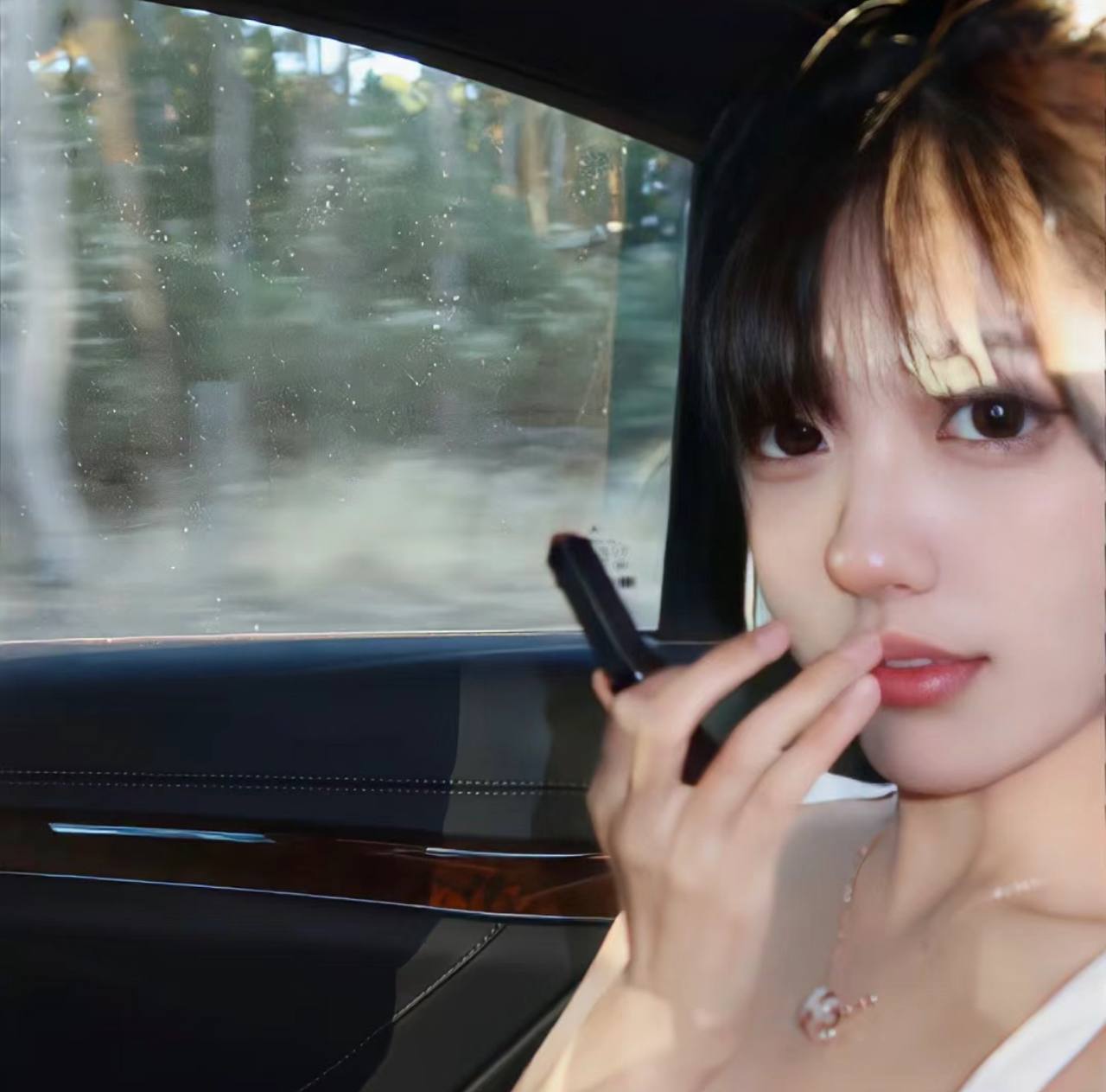 litaoqi的头像-爱玩博客